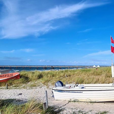 Haus Nadine Διαμέρισμα Zingst Εξωτερικό φωτογραφία