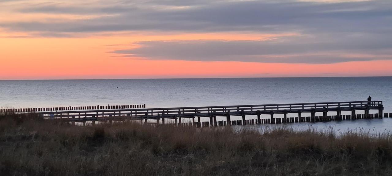 Haus Nadine Διαμέρισμα Zingst Εξωτερικό φωτογραφία