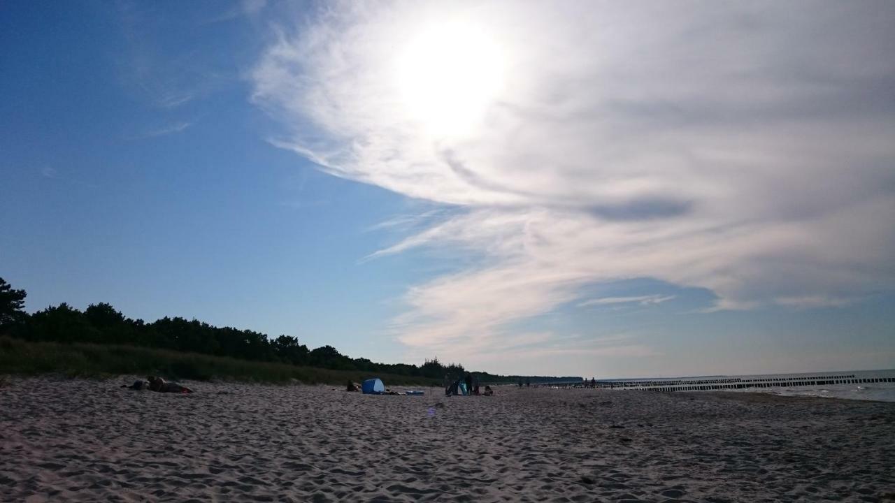 Haus Nadine Διαμέρισμα Zingst Εξωτερικό φωτογραφία